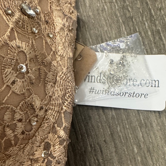 Windsor Lace Bustier in Tan with Embellishments - Picture 6 of 11